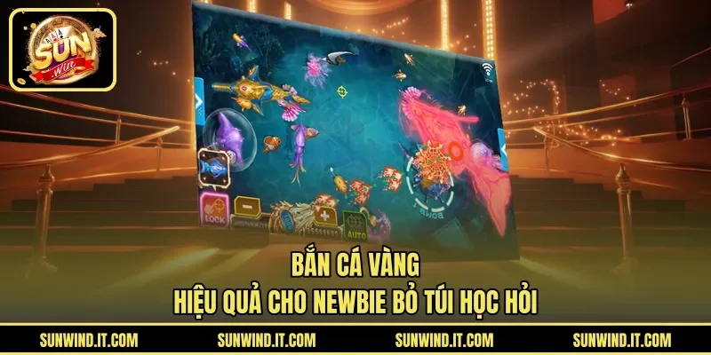 Bắn Cá Vàng Hiệu Quả Cho Newbie Bỏ Túi Học Hỏi
