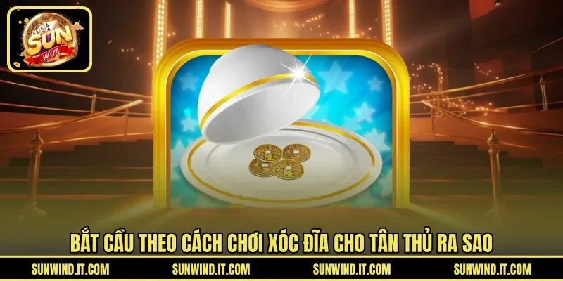 Bắt cầu theo cách chơi xóc đĩa cho tân thủ ra sao