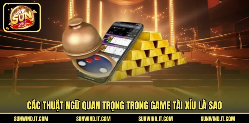 Các thuật ngữ quan trọng trong game tài xỉu là sao