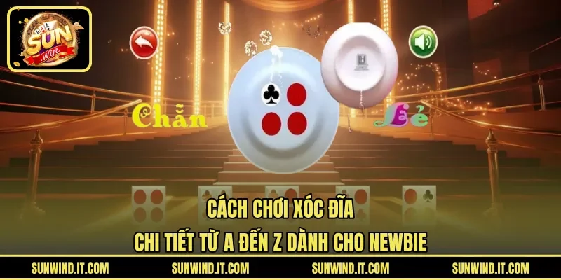 Cách Chơi Xóc Đĩa Chi Tiết Từ A Đến Z Dành Cho Newbie